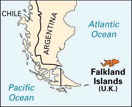 falkland islands mammals theora